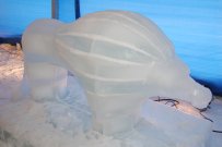 dsc-0157