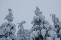 dsc-0179